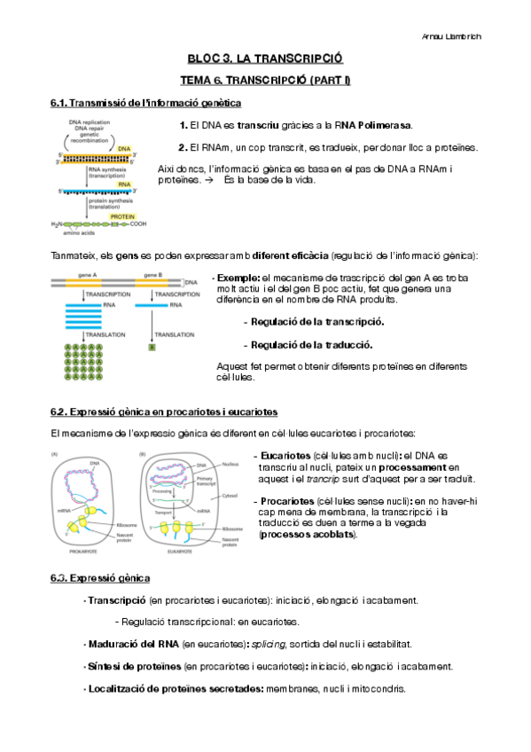 Miniatura del documento Apunts-Biologia-Molecular-i-Genomica-Tema-6.pdf