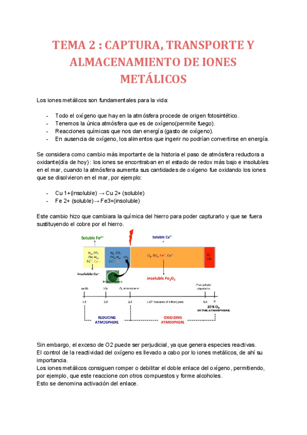 Miniatura del documento TEMA-2-1.pdf