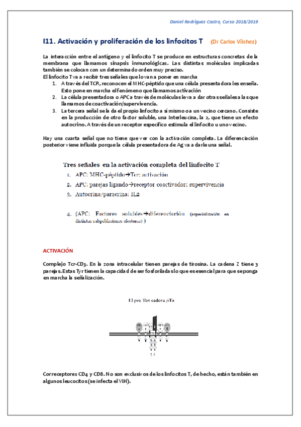 Miniatura del documento T.pdf