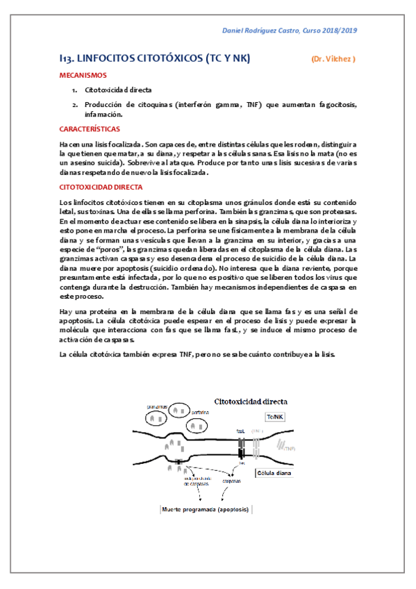 Miniatura del documento T.pdf