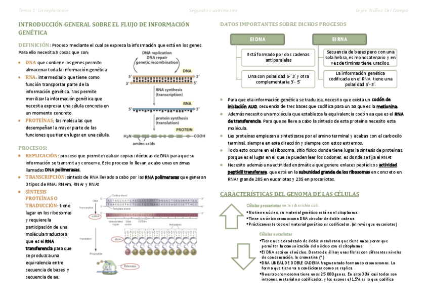Miniatura del documento Replicación en los procariotas.pdf