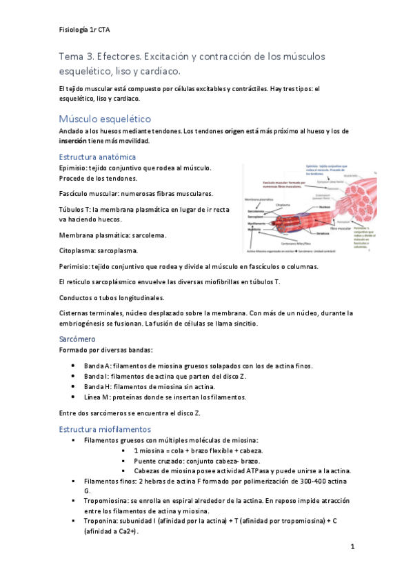 Miniatura del documento Fisiologia-Tema 3.pdf