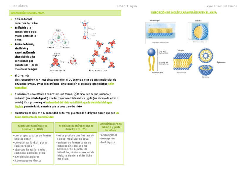 Miniatura del documento TEMA 2 El agua.pdf