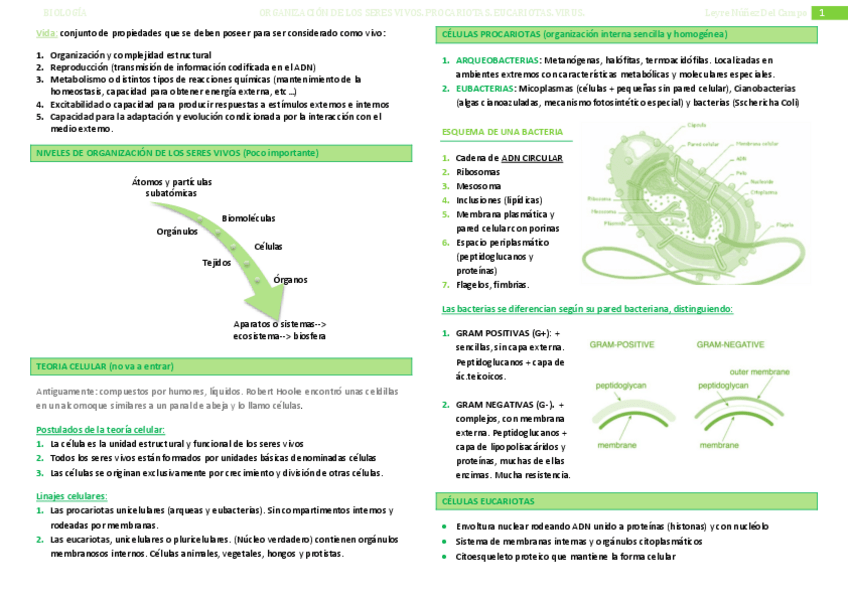 Miniatura del documento TEMA 1- El ser vivo.pdf