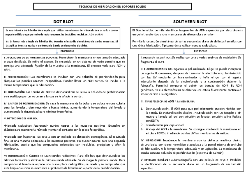 Miniatura del documento Esquema-Tema-5.pdf