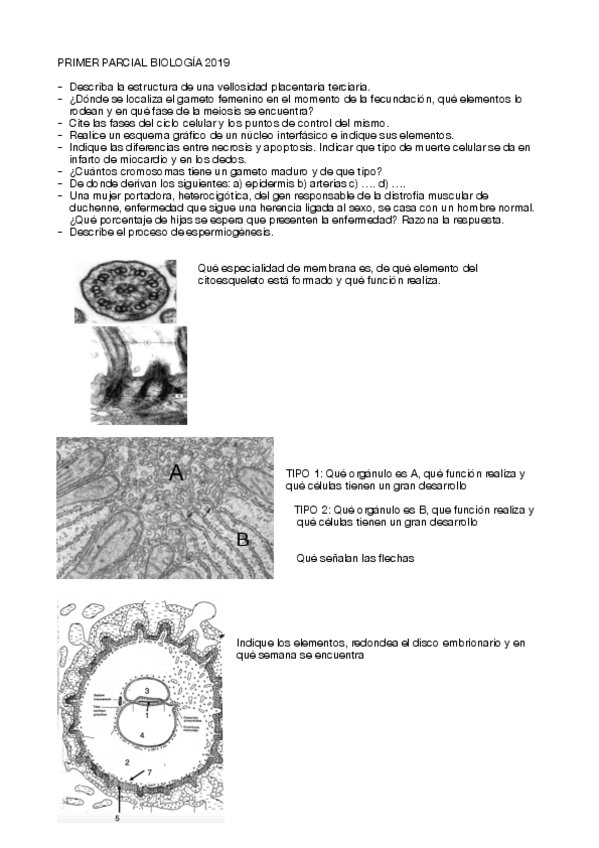 Miniatura del documento PARCIAL-2019.pdf