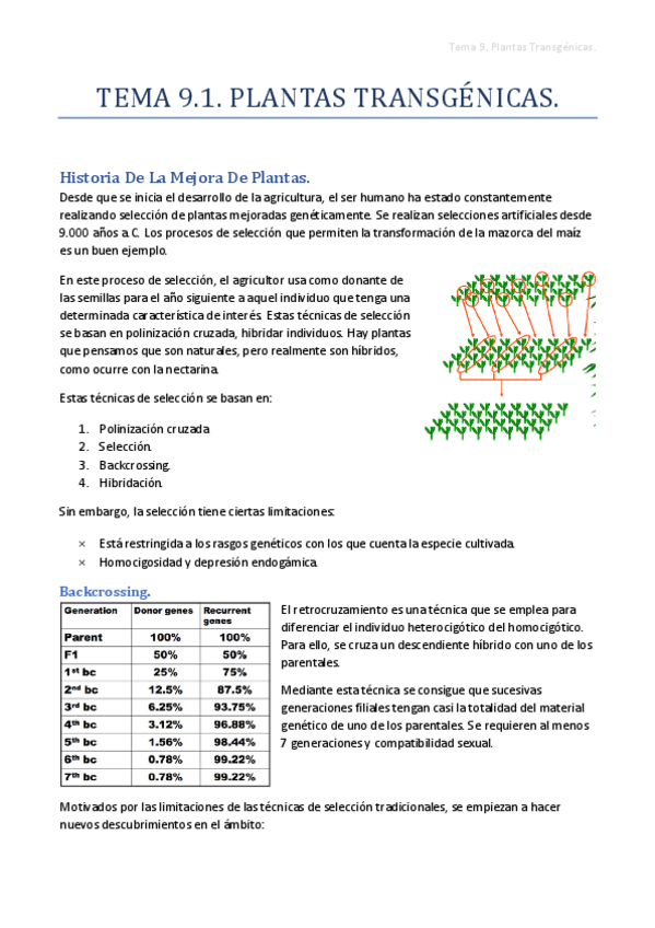 Miniatura del documento Tema 9.1. Plantas Transgénicas.pdf