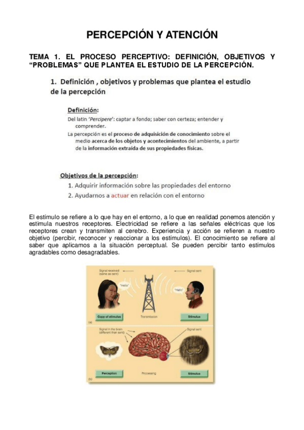 Miniatura del documento pya.pdf