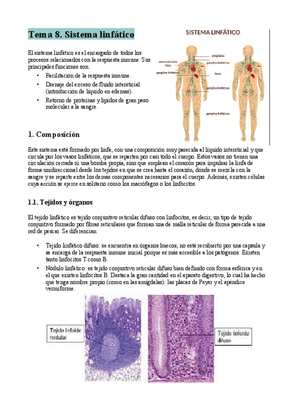 Miniatura del documento Tema-8-resumen.pdf