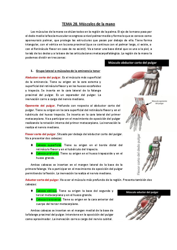 Miniatura del documento TEMA-28.pdf
