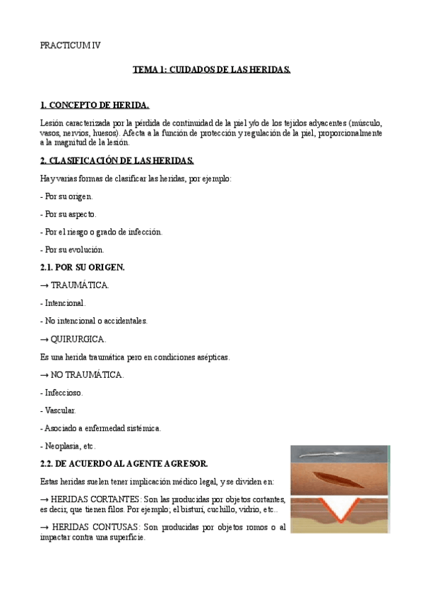 Miniatura del documento TEMA-1-PRACTICUM-IV.pdf