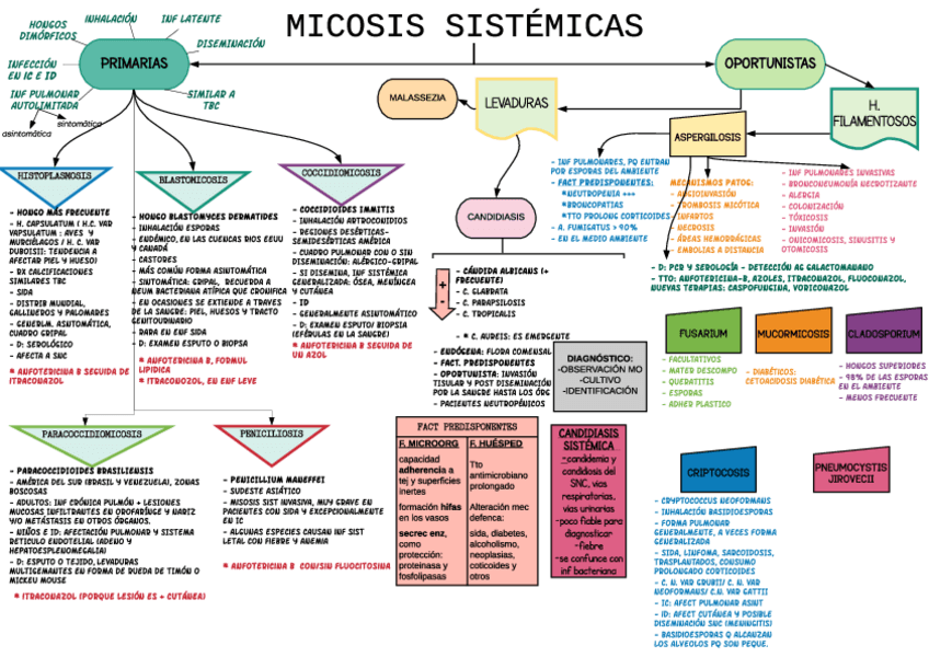 Miniatura del documento MICOSIS-SIST-ESQUEMA.pdf
