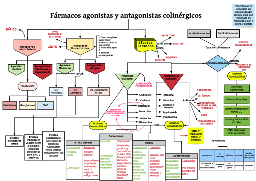 Miniatura del documento Farmacos-colinergicos-T-18.pdf