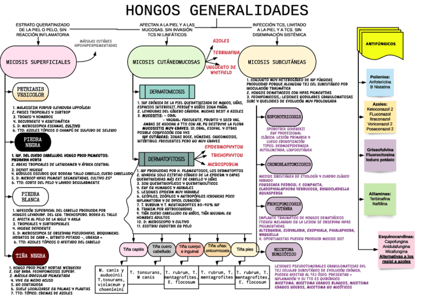 Miniatura del documento ESQUEMA-hongos-micosis-superf-subc.pdf