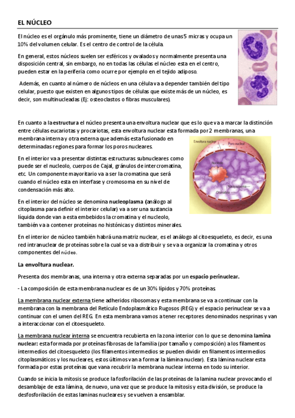 Miniatura del documento Tema-6.pdf