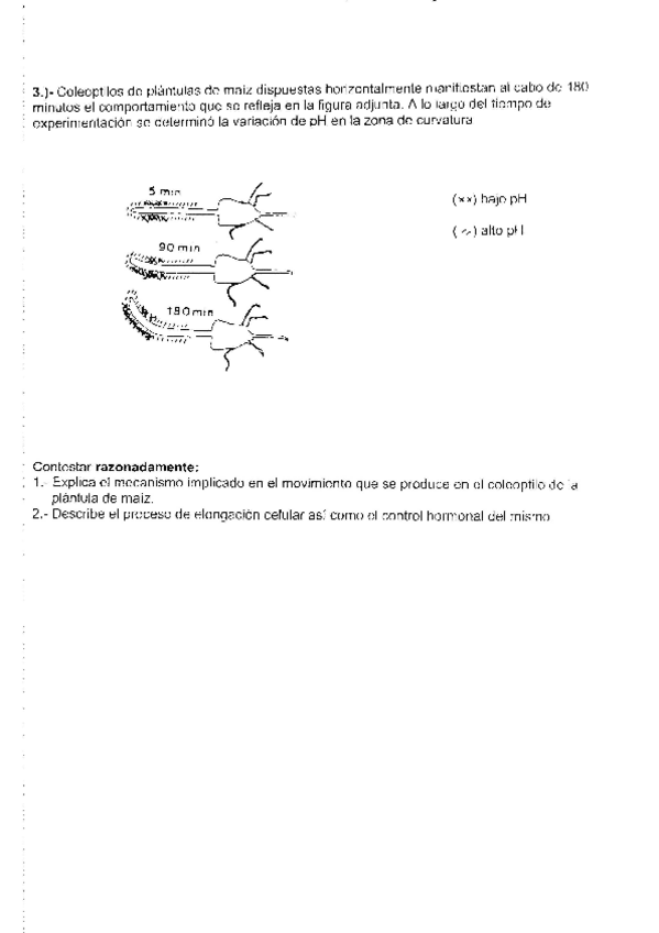 Miniatura del documento Exámenes fisiología vegetal.pdf