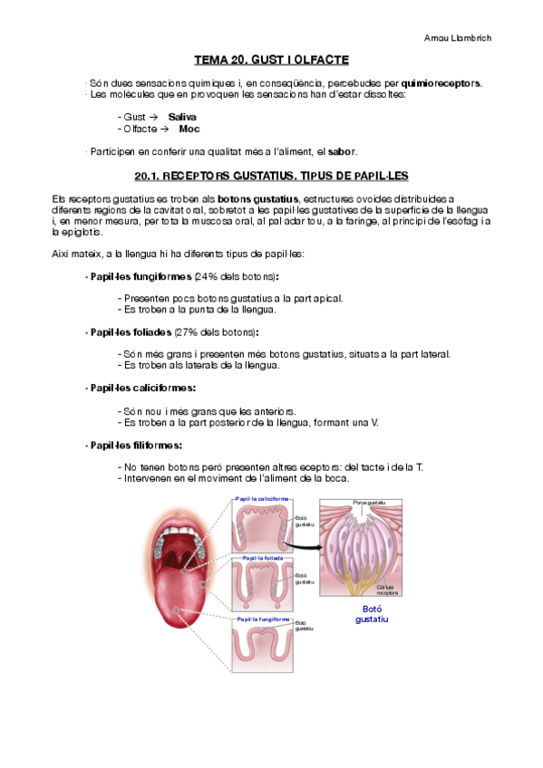 Miniatura del documento Apunts-Fisiologia-i-Fisiopatologia-I-Tema-20.pdf