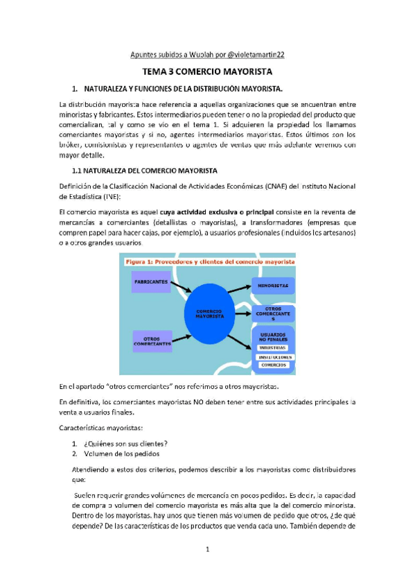 Miniatura del documento TEMA-3-COMERCIO-MAYORISTA-V.pdf