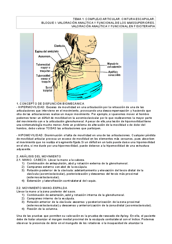 Miniatura del documento TEMA2.pdf