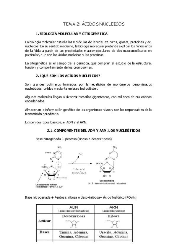 Miniatura del documento tema-2Acidos-nucleicos.pdf