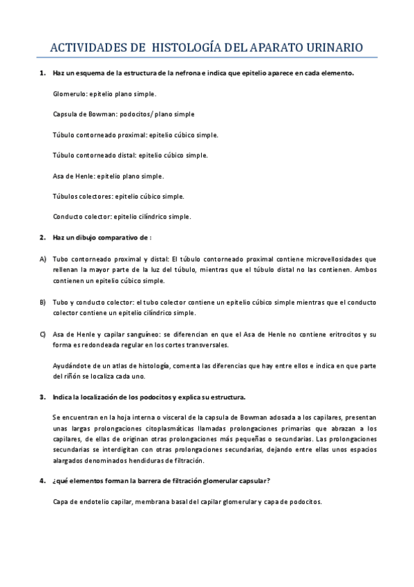 Miniatura del documento ACTIVIDADES-DE-HISTOLOGIA-DEL-APARATO-URINARIO.pdf