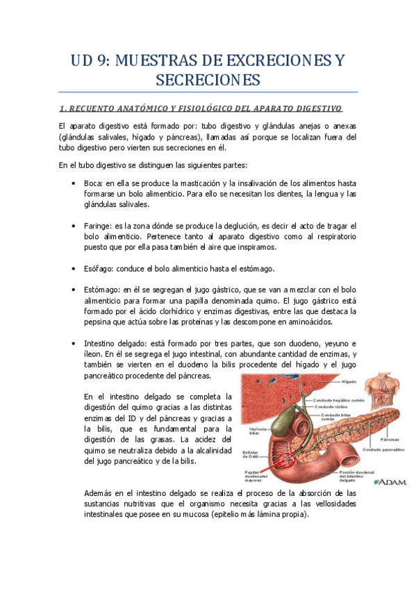 Miniatura del documento UD-9-Muestras-de-excreciones-y-secreciones.pdf