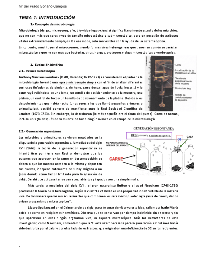 Miniatura del documento MICRO-1-y-2.pdf