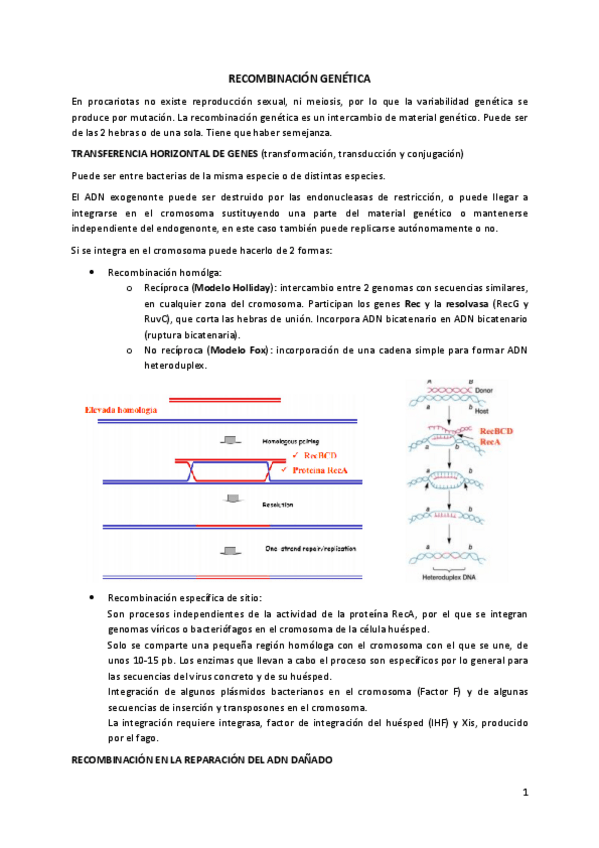 Miniatura del documento T10.pdf