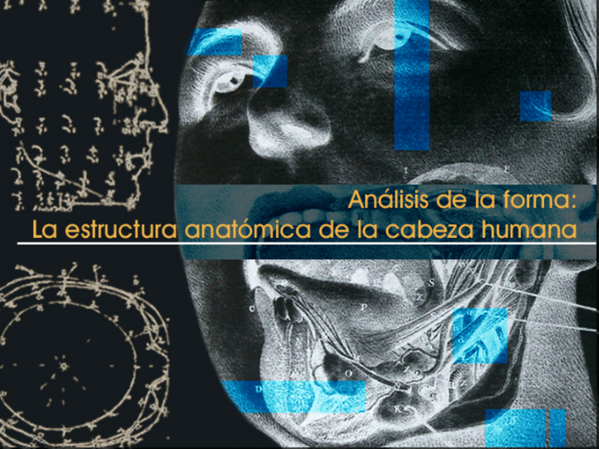 Miniatura del documento 11ANATOMIA.pdf