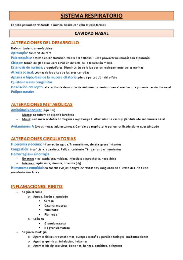 Miniatura del documento Respiratorio.pdf
