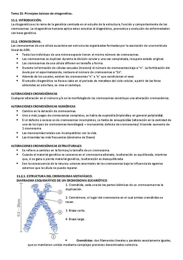 Miniatura del documento Tema-11.pdf