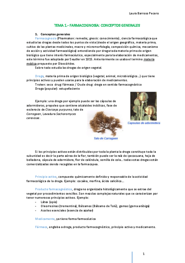 Miniatura del documento TEMA 1.pdf