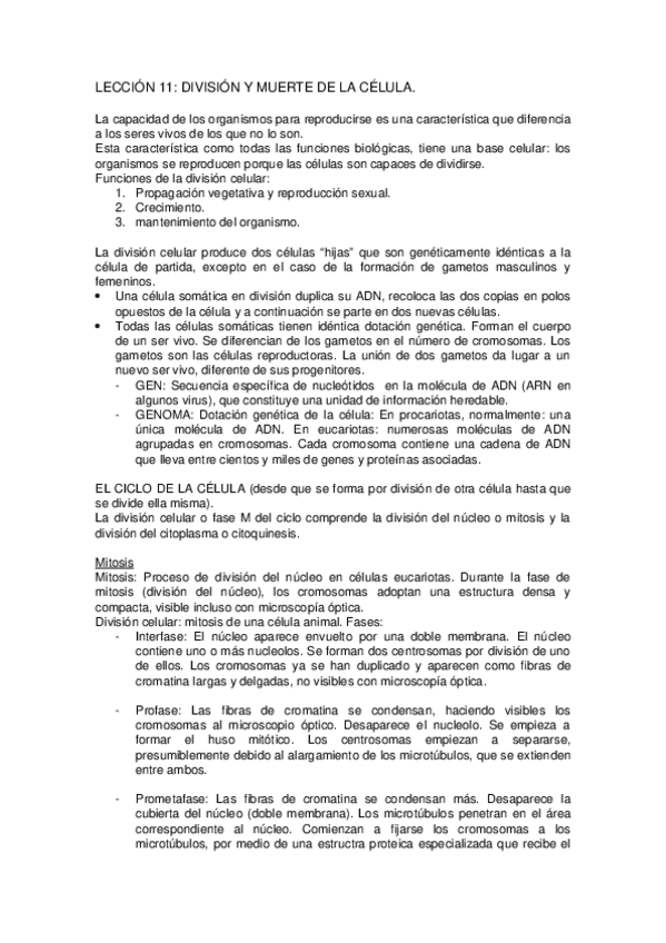 Miniatura del documento LECCION-11.docx