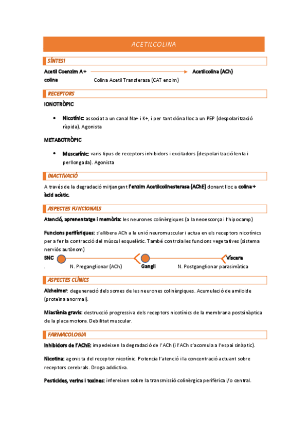 Miniatura del documento Resum NeuroT. Taula Acetilcolina