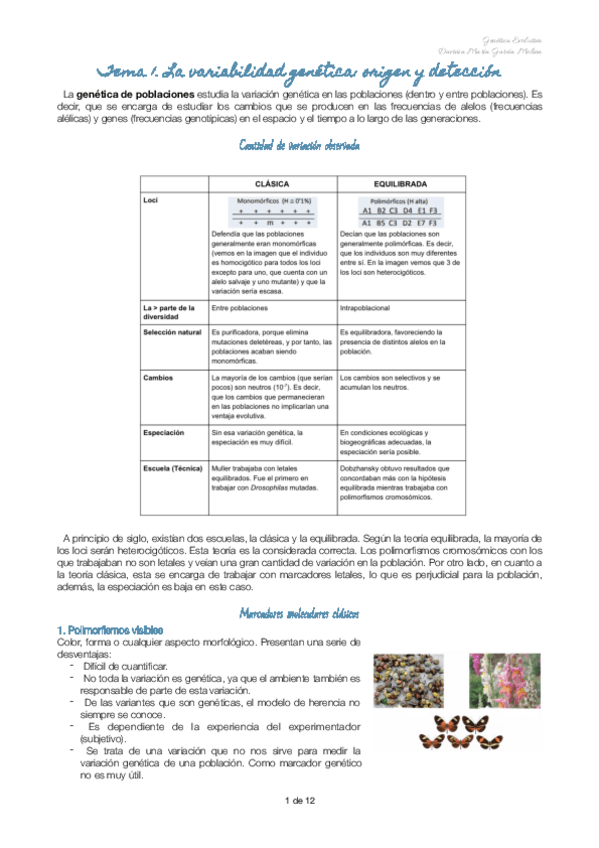 Miniatura del documento Parcial-1-gevo.pdf