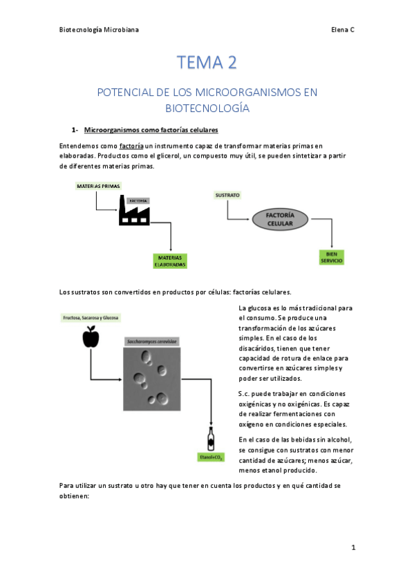 Miniatura del documento TEMA 2. Biotecnología microbiana