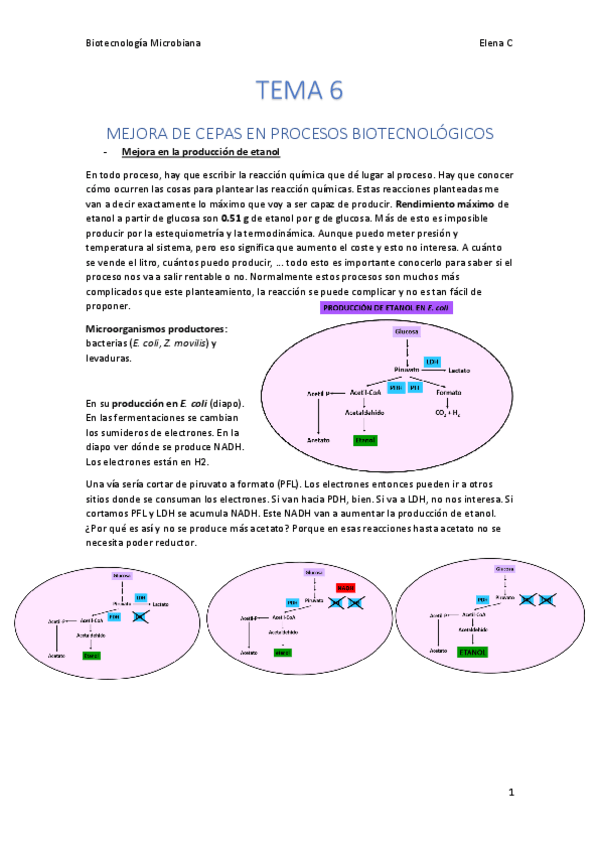 Miniatura del documento TEMA 6. Biotecnología microbiana