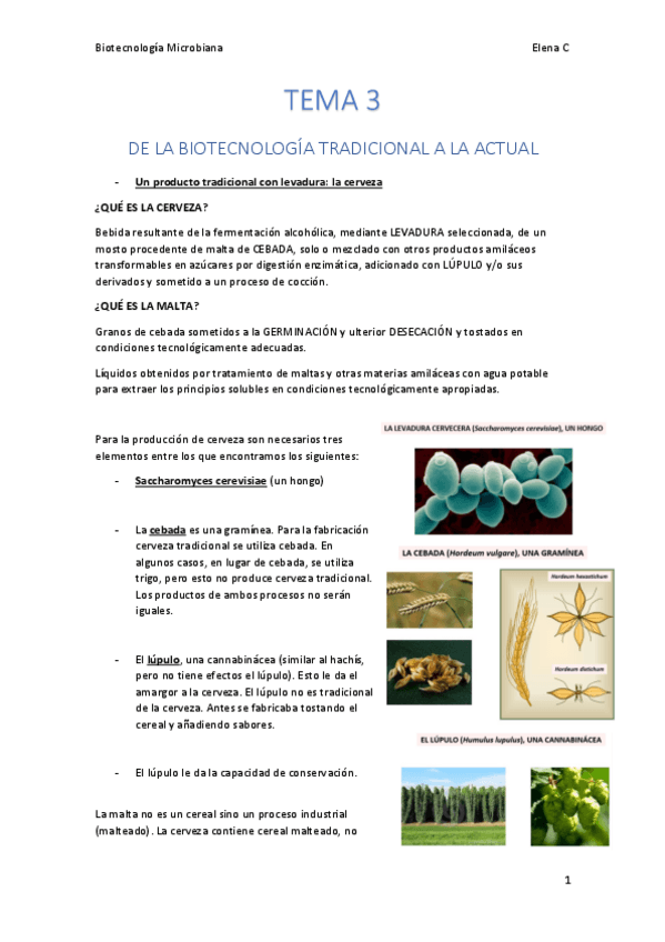 Miniatura del documento TEMA 3. Biotecnología microbiana