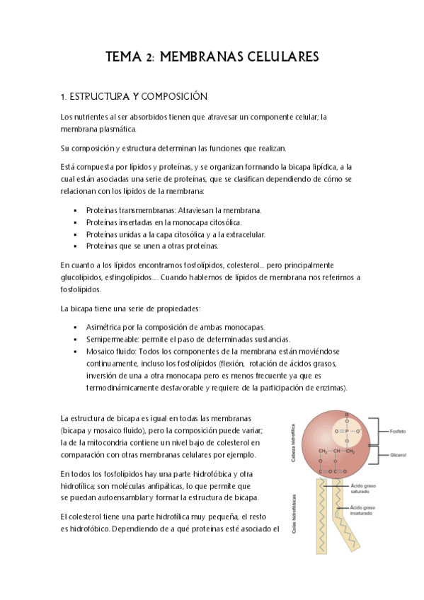Miniatura del documento TEMA-2.pdf