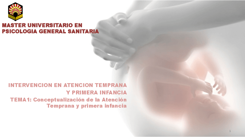 Miniatura del documento TEMA-1.pdf