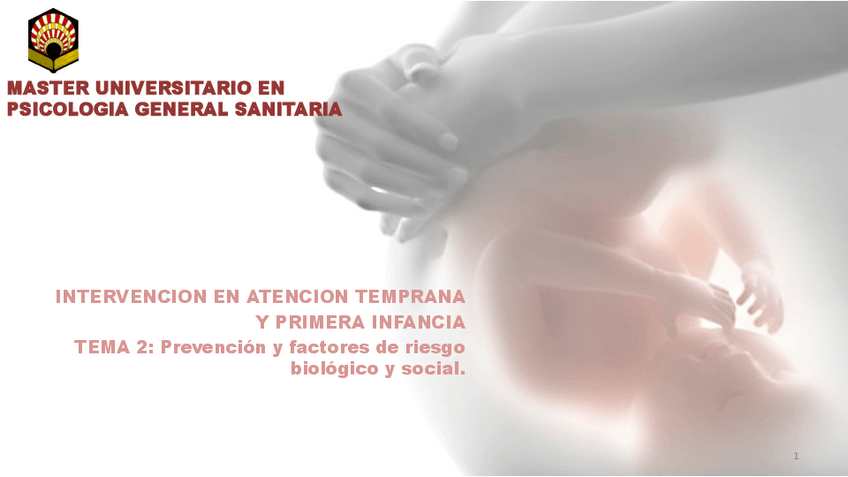 Miniatura del documento TEMA-2.pdf