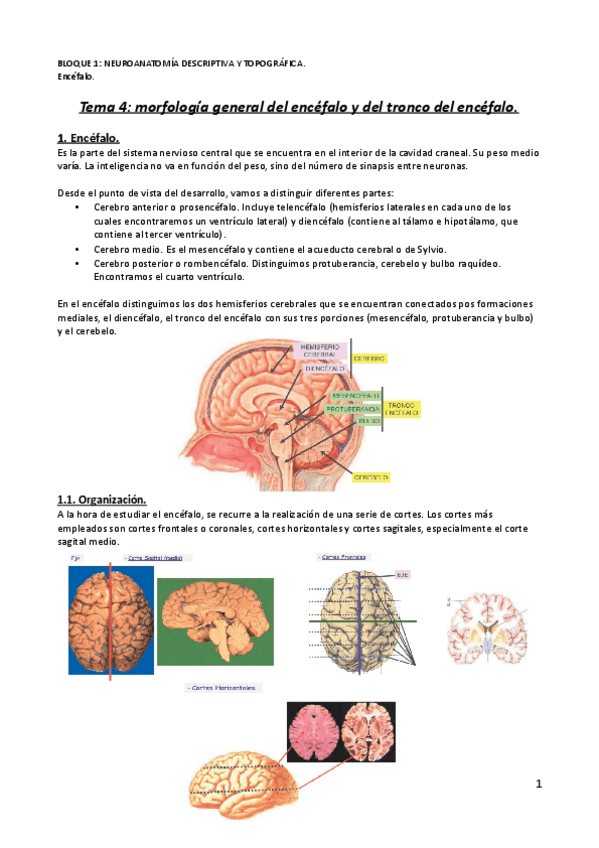 Miniatura del documento Tema-4.pdf