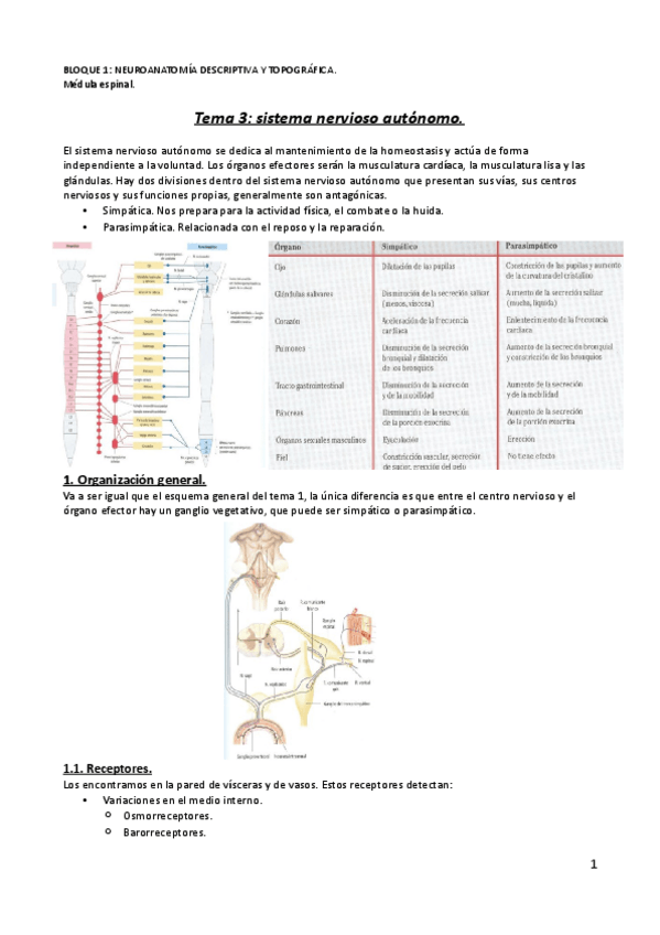 Miniatura del documento Tema-3.pdf