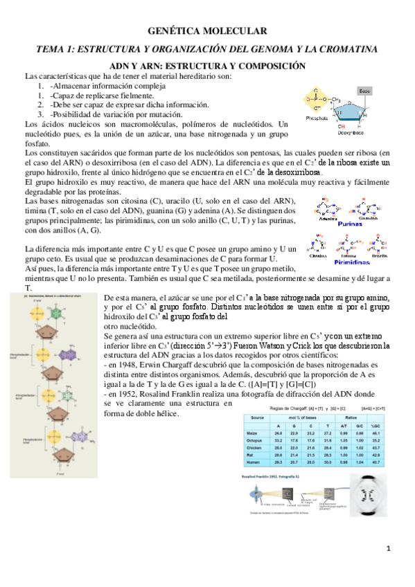 Miniatura del documento GENETICA-TEXTO-COMPLETO-FINAL.pdf