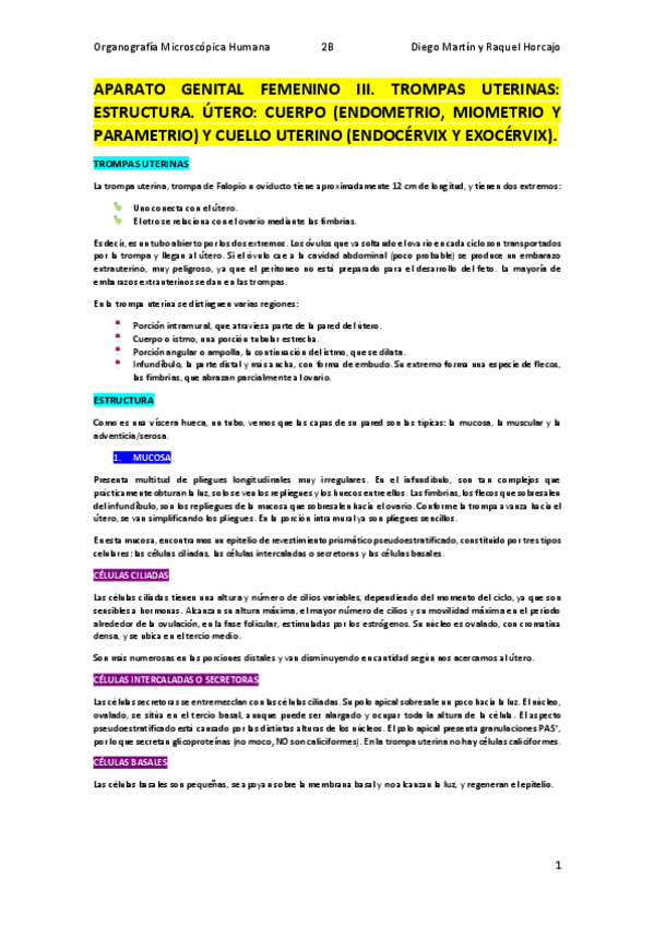 Miniatura del documento GENITAL-FEMENINO-III-sin-dibujos.pdf