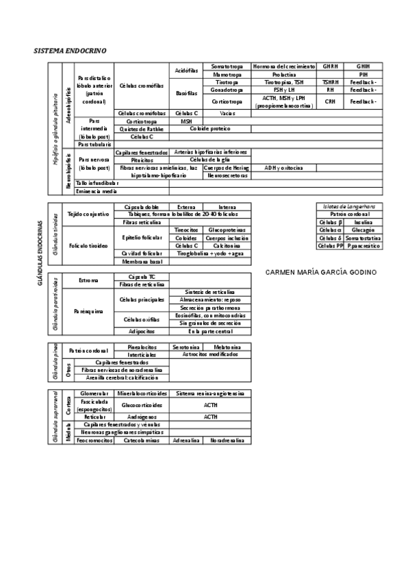 Miniatura del documento ENDOCRINO.pdf