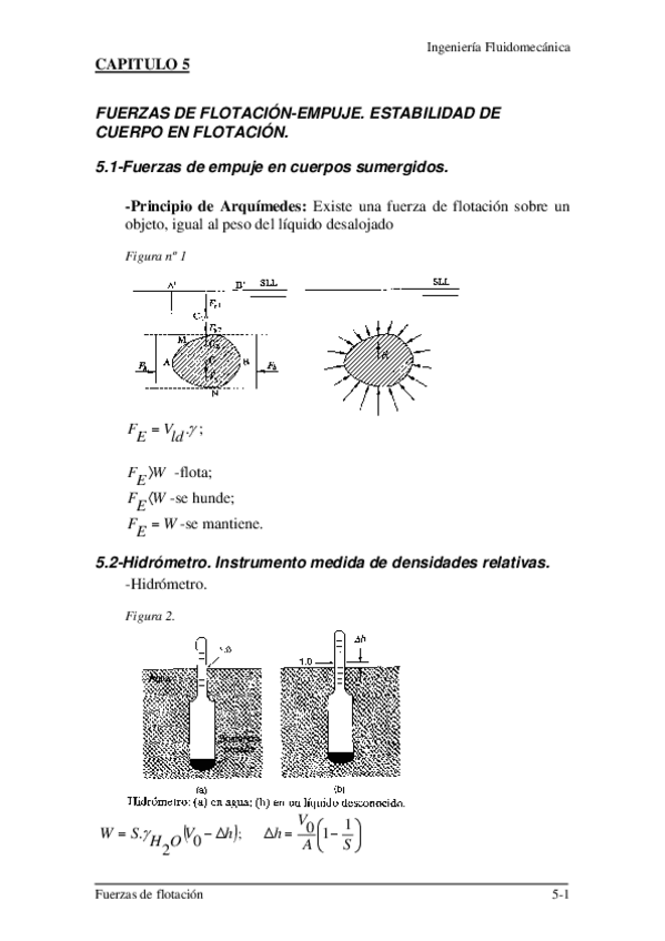 Miniatura del documento TEMA5fuerzasflotacion.pdf