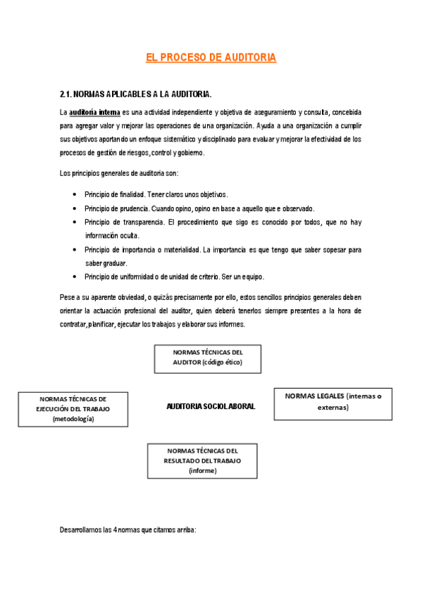 Miniatura del documento TEMA 2 TÉCNICAS DE AUDITORIA.pdf