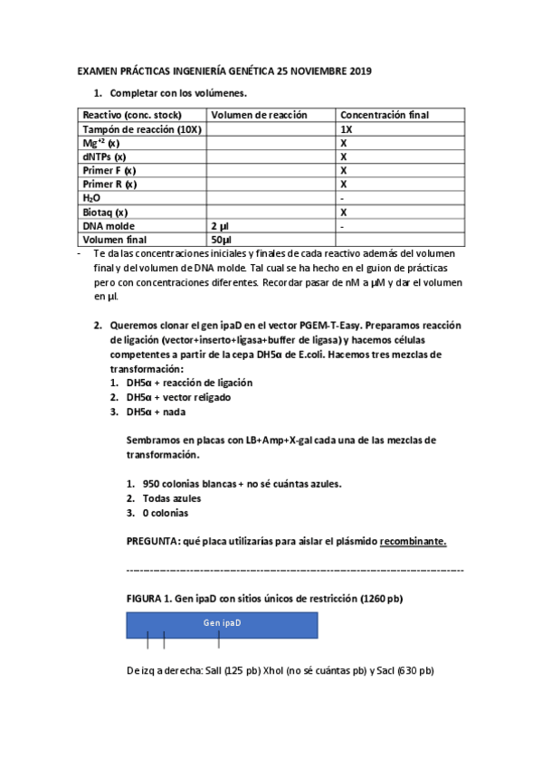 Miniatura del documento Examen-de-practicas-2019.pdf