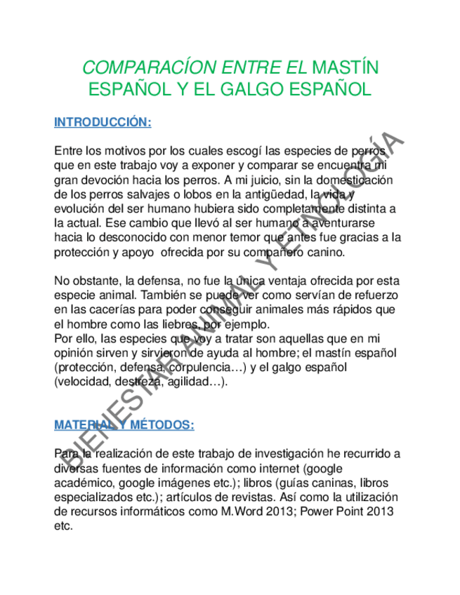 Miniatura del documento MASTIN-GALGO.docx